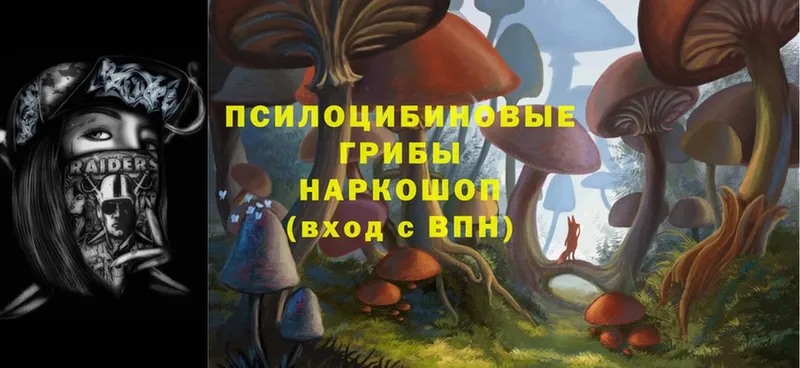 mega зеркало  площадка наркотические препараты  Псилоцибиновые грибы ЛСД  Белая Холуница 